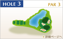 HOLE3