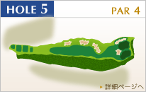 HOLE5