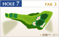 HOLE7