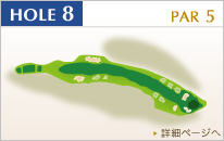 HOLE8