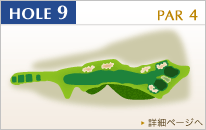 HOLE9