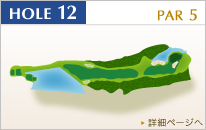 HOLE12