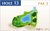 HOLE13