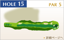 HOLE15