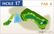 HOLE17